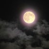 射手座のウエクサ満月の画像