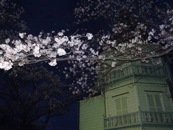 18 03 31 広見公園の夜桜 春花秋湯 旅と富士山 ときどきパソコン
