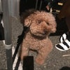 今日はバ ーベキューの画像