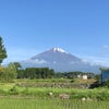 今朝の富士山６月５日の画像
