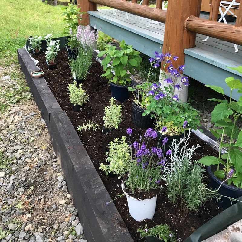 初めての花壇作り 宿根草ガーデン Lasie ラシエ 北海道の暮らしを楽しむ