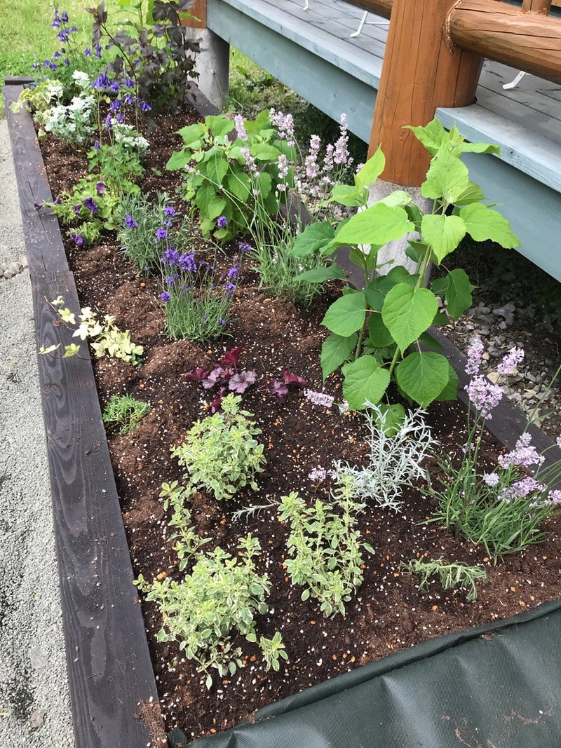 初めての花壇作り 宿根草ガーデン Lasie ラシエ 北海道の暮らしを楽しむ