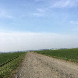 画像 朝のウォーキング の記事より 9つ目