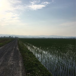 画像 朝のウォーキング の記事より 12つ目