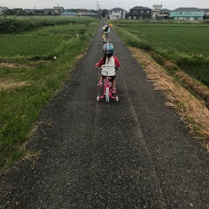 おやすみの画像