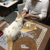 安定低空飛行中・・・の画像