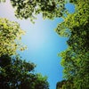 【『氣づかされた』言葉】の画像