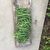 06/07の画像