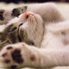 売れない、結果が出せない人の画像
