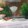 水晶さざれ石を金魚の水槽への画像