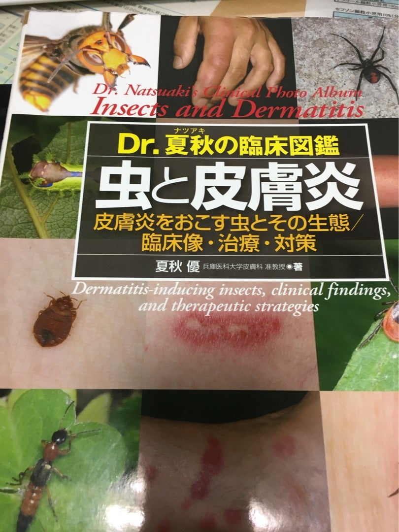 激安商品 Dr.夏秋の臨床図鑑 虫と皮膚炎 millenniumkosovo.org