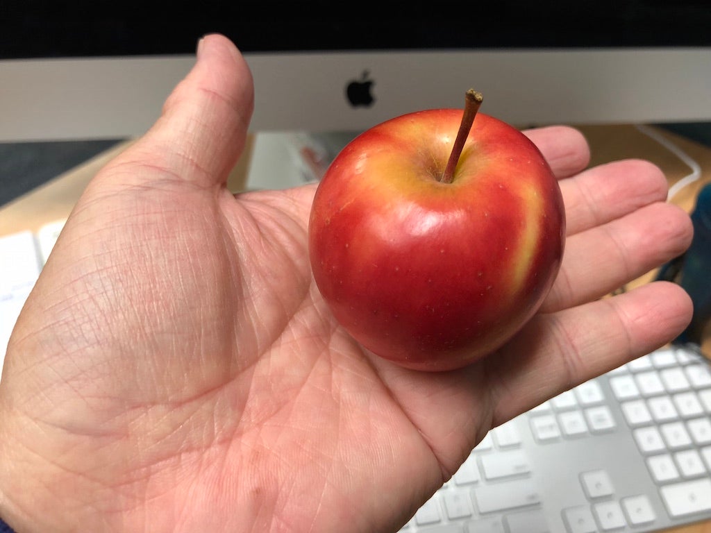 ニュージーランド生まれの世界最小サイズのリンゴ Rockit Apple そのお味は ニュージーランド留学情報センター