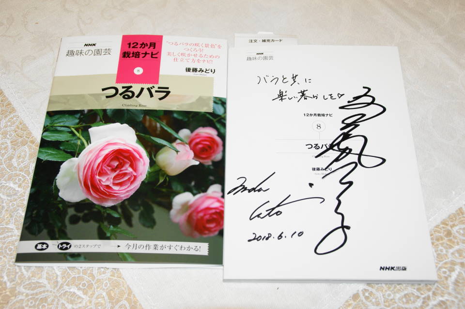 【日本製】 NHK趣味の園芸 １２か月栽培ナビ ８ つるバラ 後藤みどり tepsa.com.pe