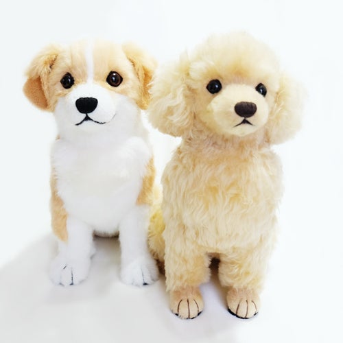 ボーダーコリーmix犬とトイプードルのお座りぬいぐるみ フムフムのアトリエ日記