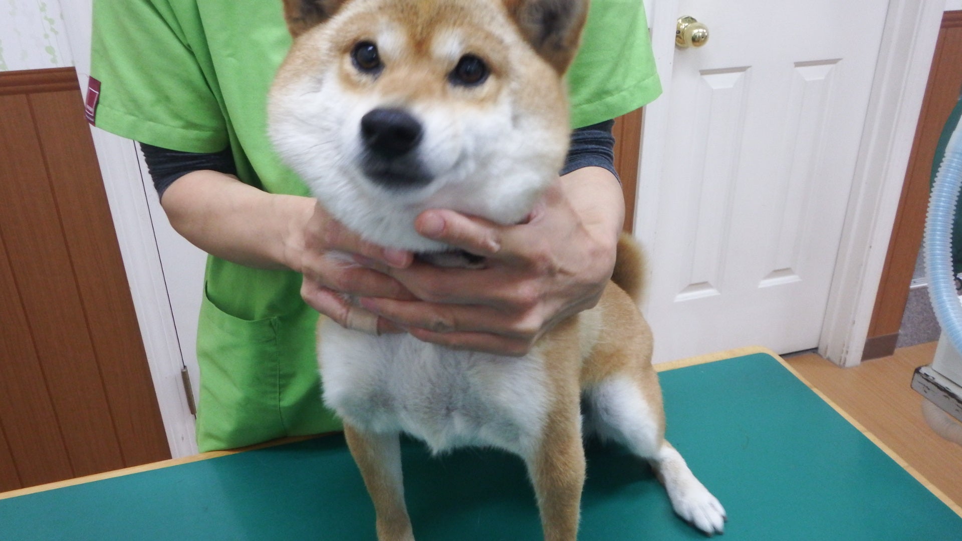 00eekyoi Xmuzm
