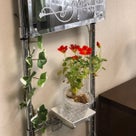 インテリア壁掛け仏壇と季節のお花：ナスタチウム（金蓮花）の記事より