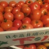 フルーツトマトの画像