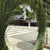 夏越の大祓の画像