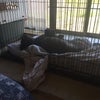 7月がスタート！の画像
