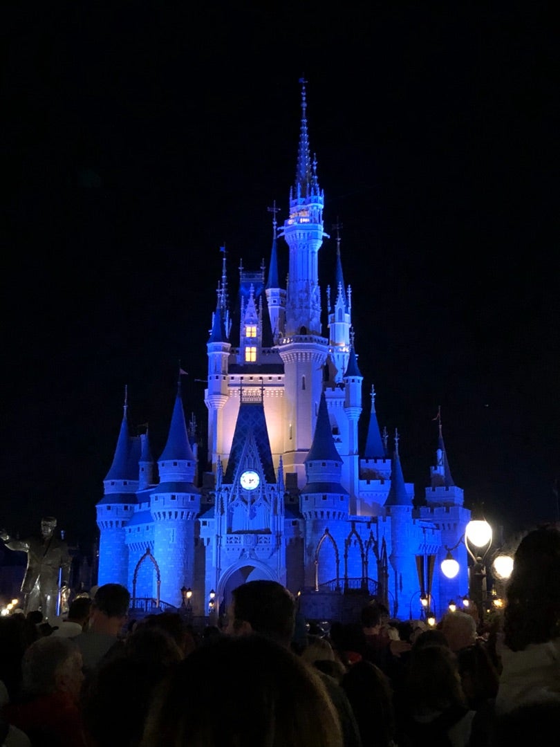 Dcl Wdw旅行記 Happily Ever After とんちゃんのディズニー ときどき 旅行ブログ