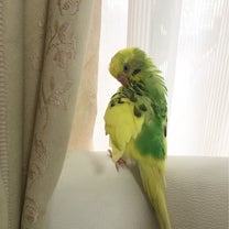 ブログ投稿画像