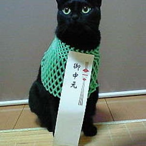 お中元の画像