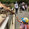 近〜い!!の画像