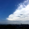 ☆ 鈴鹿テスト ST600 ☆の画像