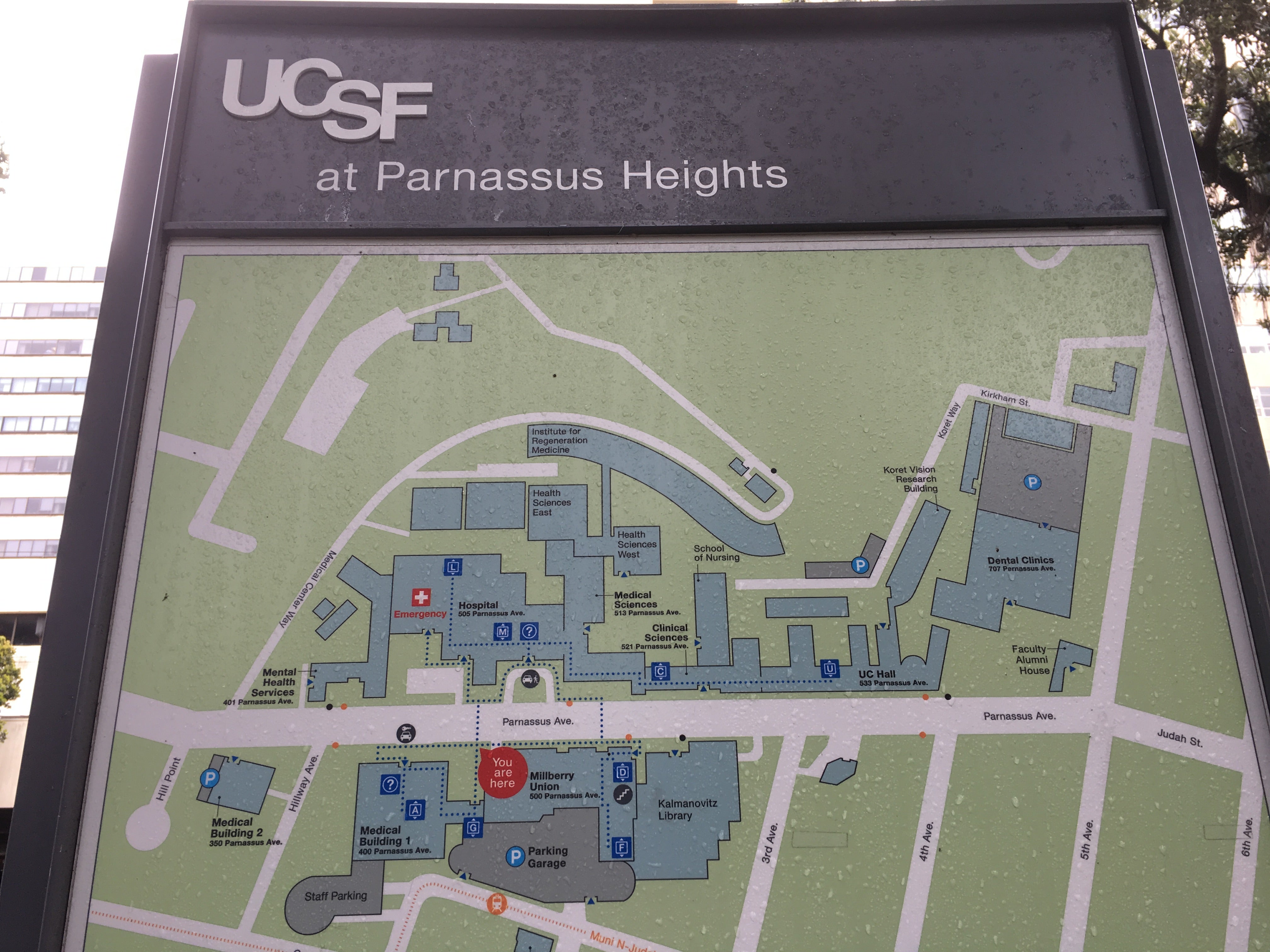 SF 旅行記 UCSF（カリフォルニア大学サンフランシスコ校） | at 「小さなカフェ芽衣」