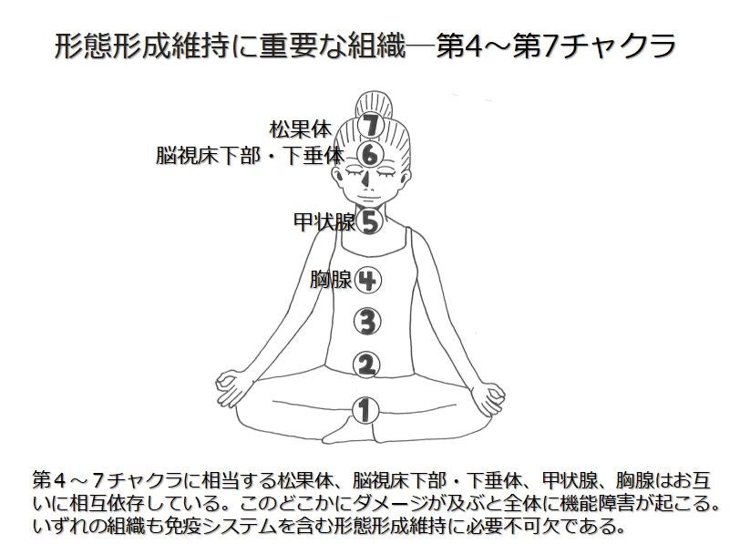新・免疫革命」をよろしくお願いいたします！』 | ドクターヒロの