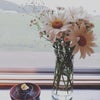 Wildの画像