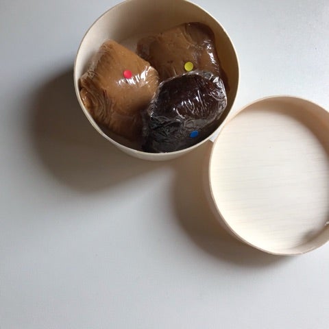 リプロ大阪でエコー(D20)の記事画像