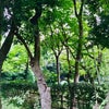 まだイケるかもっの画像