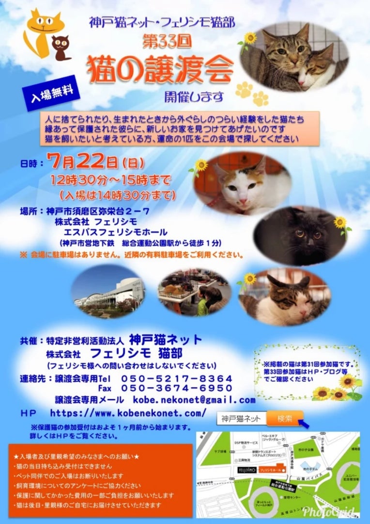 7月22日(日)は譲渡会！！ | 神戸猫ネットのブログ