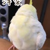 サマースクール１日目中止⤵︎の画像