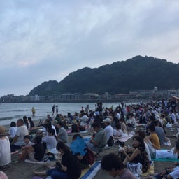 画像 マイクロ ローズ、最小のバラと鎌倉花火大会⑴ の記事より 4つ目