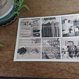 画像 ナツイロコバコ の記事より 1つ目