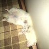 20日経ちましたの画像