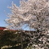 九話　「絹子が歩む道」の画像