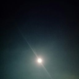 画像 ８月のお休み の記事より