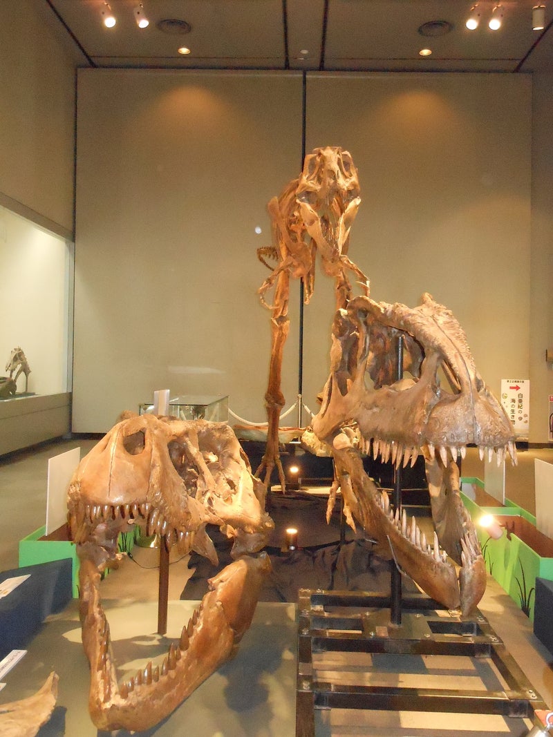 ギガノトサウルスはティラノサウルスと比べると弱い 機動人間兵器ポケピース