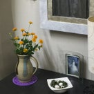 インテリア壁掛け仏壇と季節のお花：コレオプシス（ハルシャギク／波斯菊）の記事より