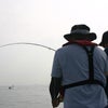 釣りバカ日誌（ソルトフライフィッシング、シイラ編）    おかまりの画像