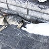 私の世界観♫ ライフストーリー 〈1〉0歳〜7歳の私の画像