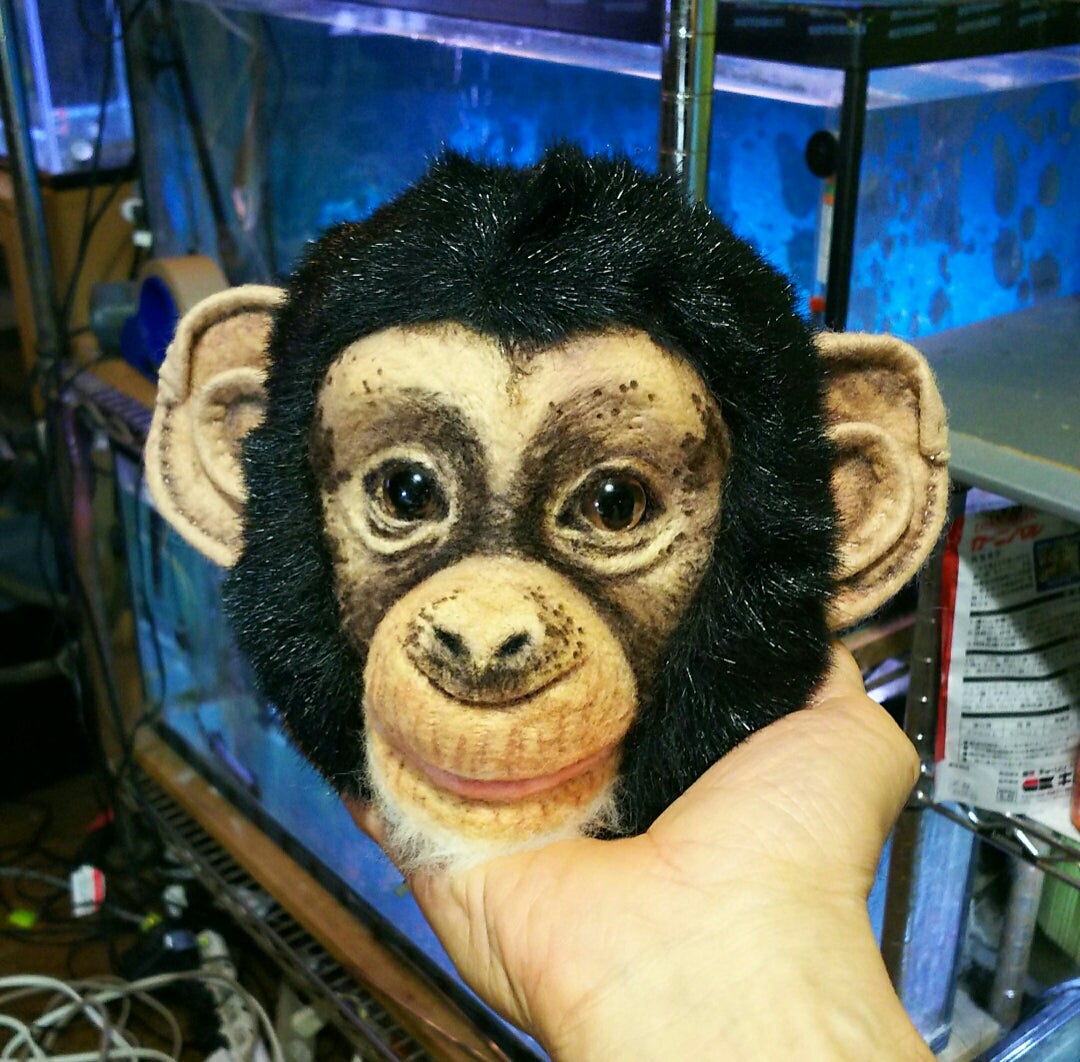 魅力的な チンパンジー チンパンジー 海外作家 quetz4.com baby baby