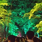 京都　下鴨神社　糺の森の光の祭の記事より