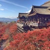 秋の京都おすすめスポットの画像