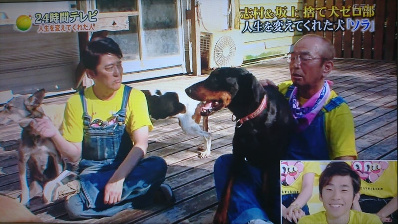 24時間テレビ 捨て犬ゼロ部 Himenohitomiのブログ