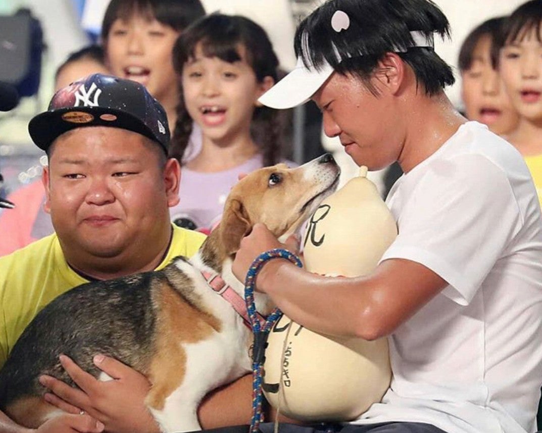 ファブリックパネル まあちゃん日記 ファブリックパネル まあちゃん日記