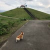 続きの画像